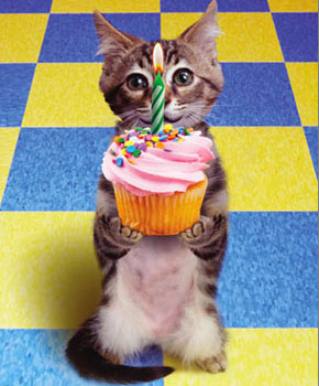 � �ͨ� �������� ����-���!!!!!!