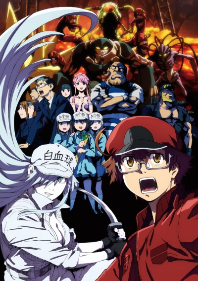 ������ �� �������: Ҹ���� ������� / Hataraku Saibou Black (TV)